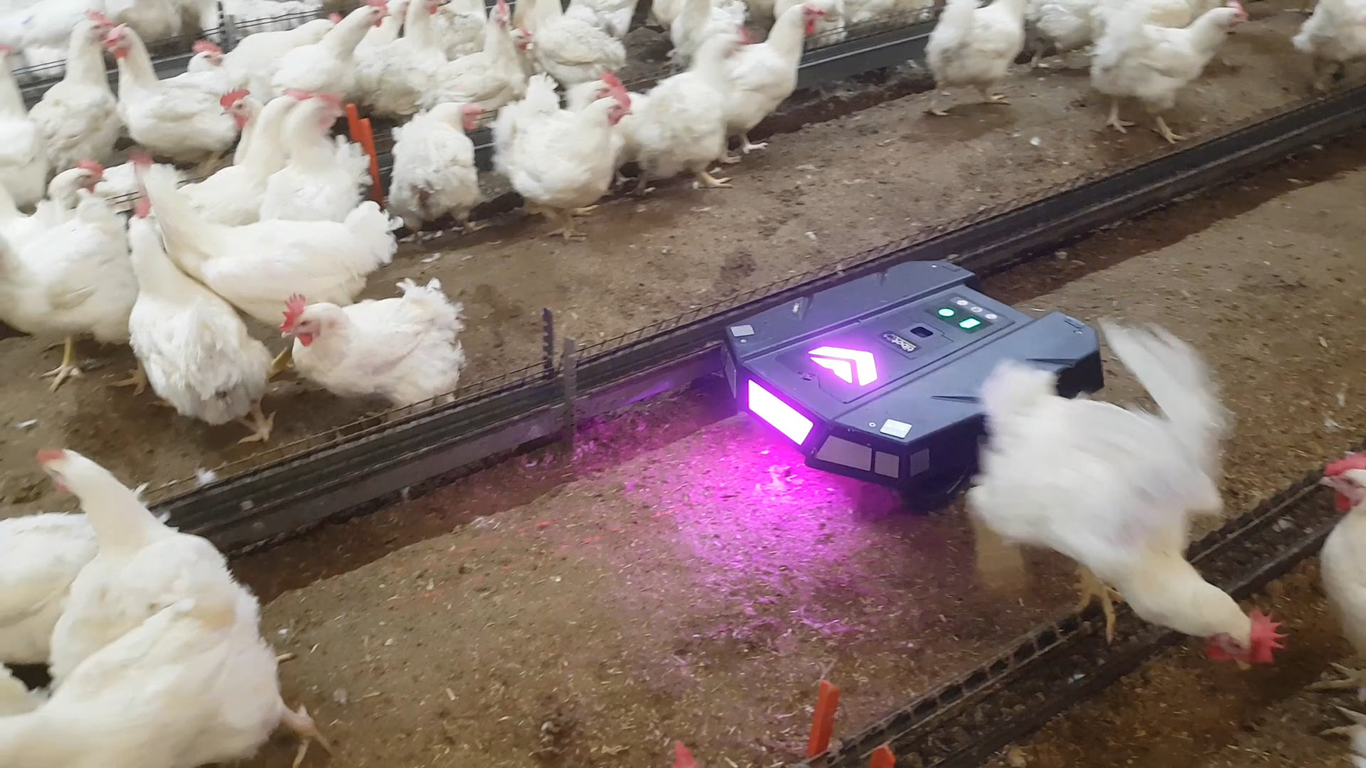 What you need to know about using a poultry robot for the first time ...